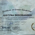 Powiększ obraz: certificate 2