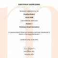 Powiększ obraz: certificate 1