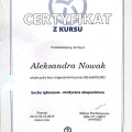 Powiększ obraz: certificate 6