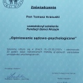 Powiększ obraz: certificate 7