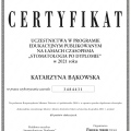 Powiększ obraz: certificate 17