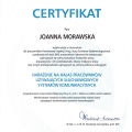 Powiększ obraz: certificate 14