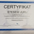 Powiększ obraz: certificate 8