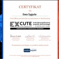 Powiększ obraz: certificate 3