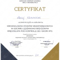 Powiększ obraz: certificate 3