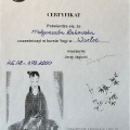 Powiększ obraz: certificate 29