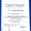 Powiększ obraz: certificate 9