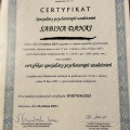 Powiększ obraz: certificate 1