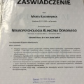 Powiększ obraz: certificate 20