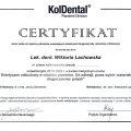 Powiększ obraz: certificate 7