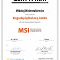 Powiększ obraz: certificate 10