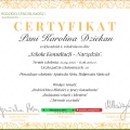 Powiększ obraz: certificate 11