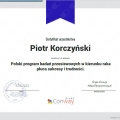 Powiększ obraz: certificate 9