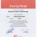 Powiększ obraz: certificate 11