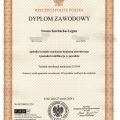 Powiększ obraz: certificate 1