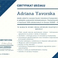 Powiększ obraz: certificate 6