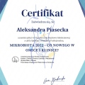 Powiększ obraz: certificate 2