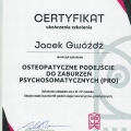 Powiększ obraz: certificate 4