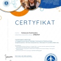 Powiększ obraz: certificate 2