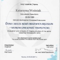 Powiększ obraz: certificate 5