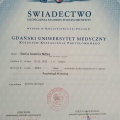 Powiększ obraz: certificate 2