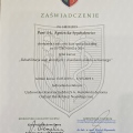 Powiększ obraz: certificate 10