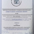 Powiększ obraz: certificate 1