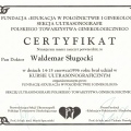 Powiększ obraz: certificate 4