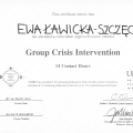 Powiększ obraz: certificate 9