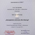 Powiększ obraz: certificate 3