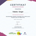 Powiększ obraz: certificate 13