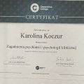 Powiększ obraz: certificate 11