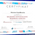 Powiększ obraz: certificate 19