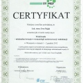 Powiększ obraz: certificate 5