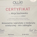 Powiększ obraz: certificate 9