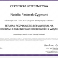 Powiększ obraz: certificate 2