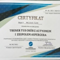 Powiększ obraz: certificate 38