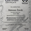 Powiększ obraz: certificate 10