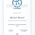 Powiększ obraz: certificate 4