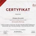 Powiększ obraz: certificate 8