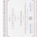 Powiększ obraz: certificate 20