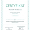 Powiększ obraz: certificate 3