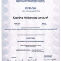 Powiększ obraz: certificate 1