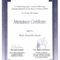 Powiększ obraz: certificate 84