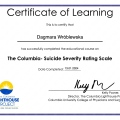 Powiększ obraz: certificate 5