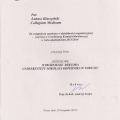Powiększ obraz: certificate 3