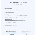 Powiększ obraz: certificate 23