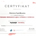 Powiększ obraz: certificate 22