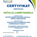 Powiększ obraz: certificate 8