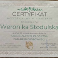 Powiększ obraz: certificate 13